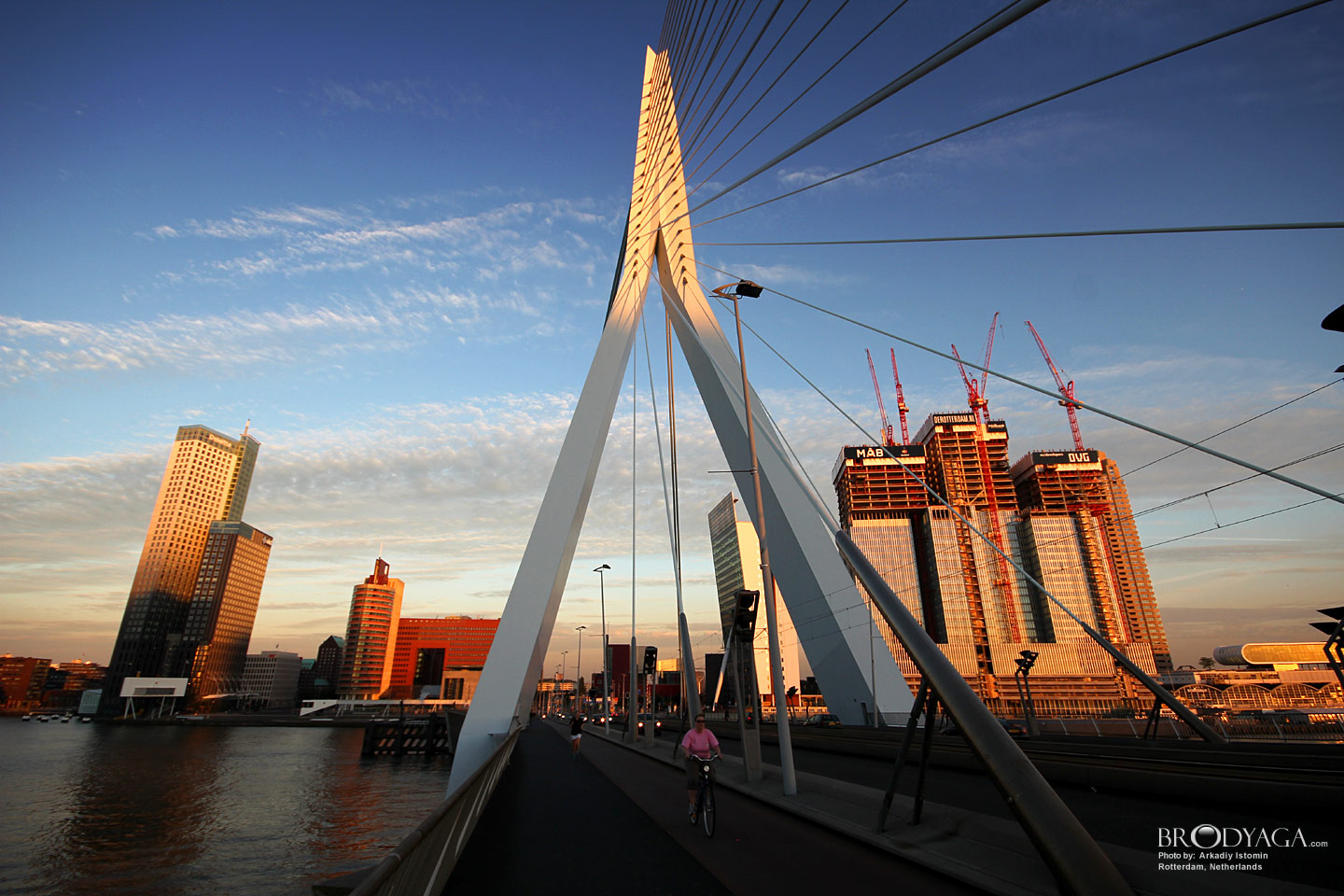 Rotterdam